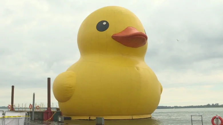 giant-duck